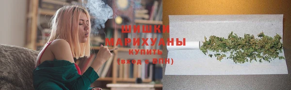 стафф Козловка