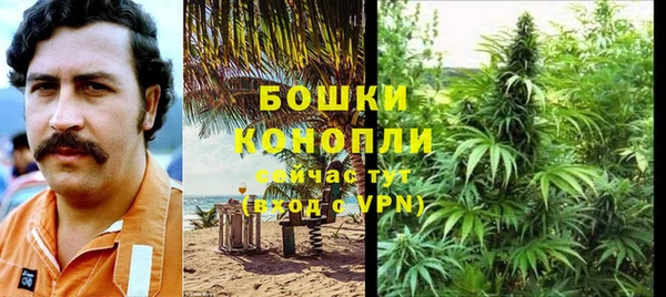 стафф Козловка